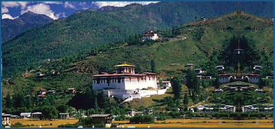 Glimps of Bhutan Tour