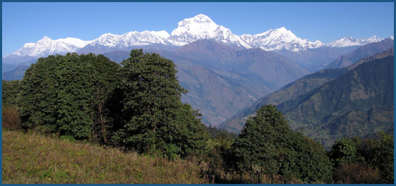 Short Trekking in Nepal