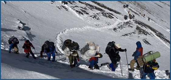 Dolpo Trek