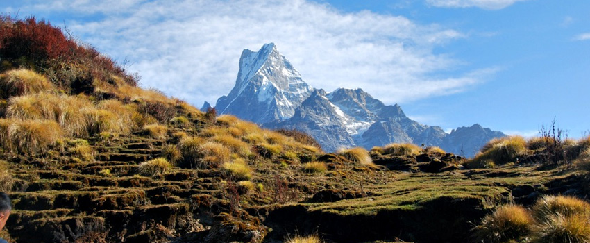 Mardi Himal Trek